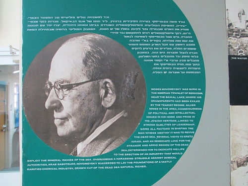 Moshe Novomeysky