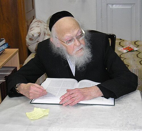 Yosef Shalom Elyashiv